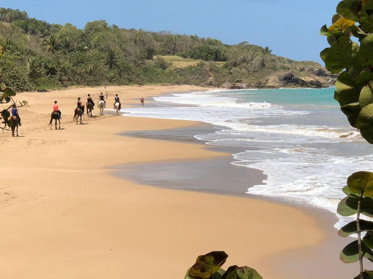 Jolie Petite Villa Sur Une Presqu'Ile Le Gosier  Luaran gambar
