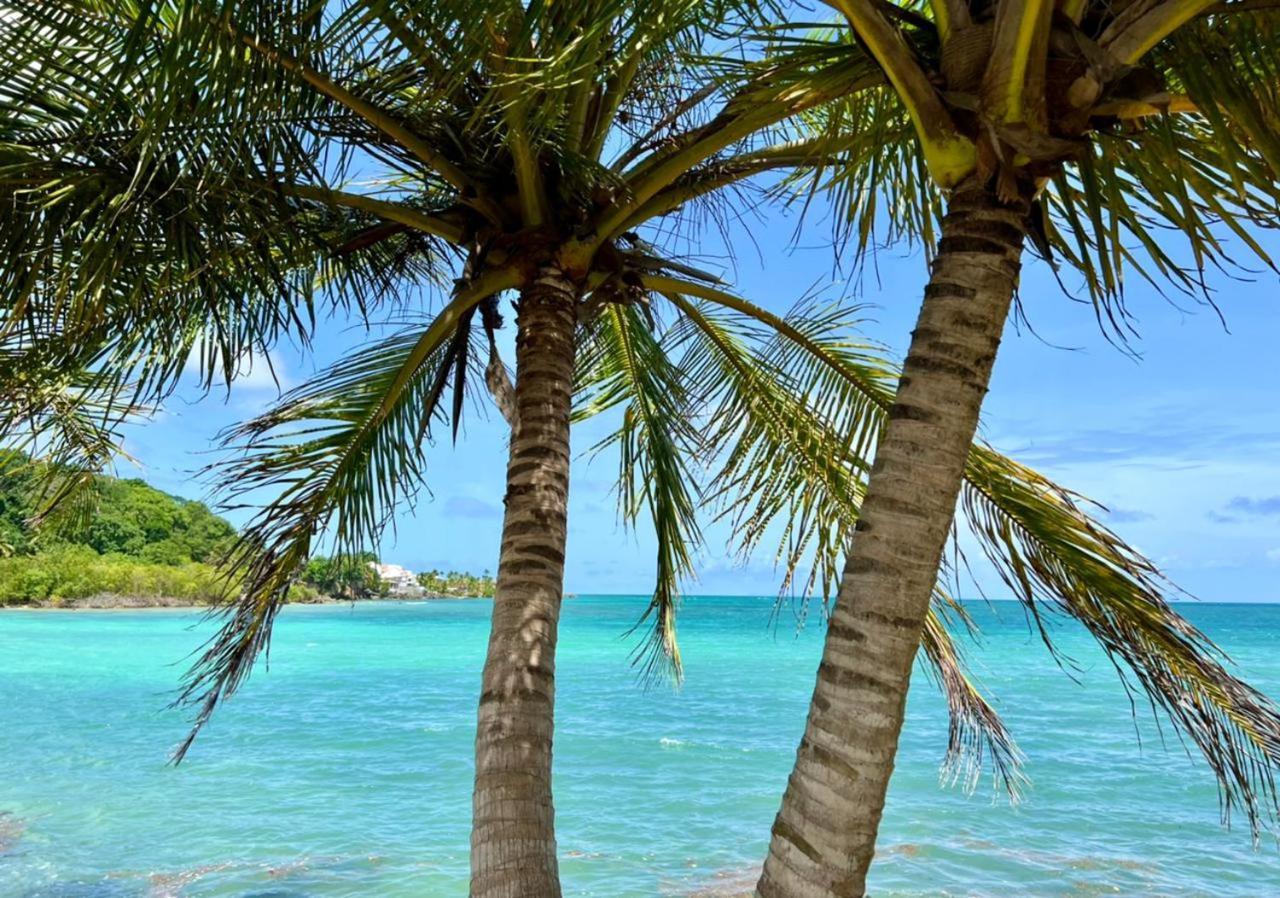 Jolie Petite Villa Sur Une Presqu'Ile Le Gosier  Luaran gambar