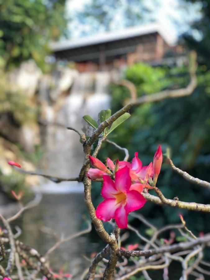 Jolie Petite Villa Sur Une Presqu'Ile Le Gosier  Luaran gambar