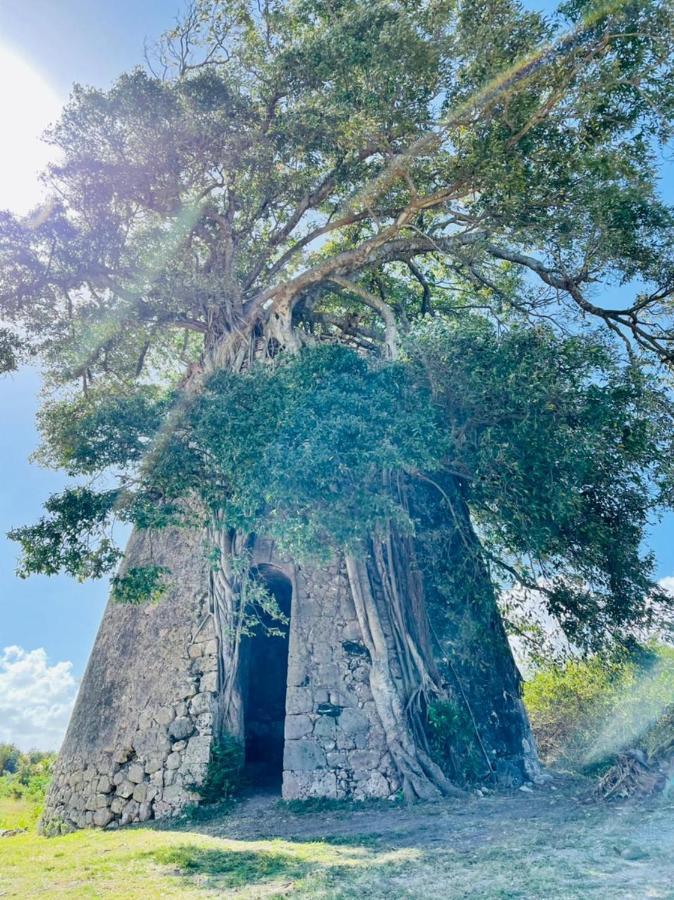Jolie Petite Villa Sur Une Presqu'Ile Le Gosier  Luaran gambar